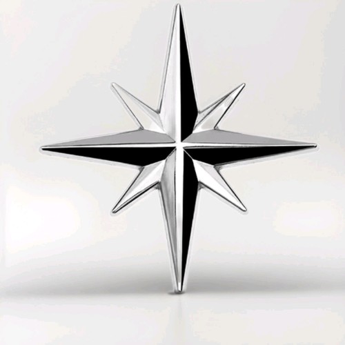 Windrose kompassrose metall - 3d,
