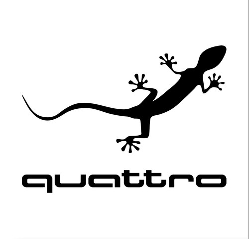 Aufkleber quattro gecko für - aufkleber,