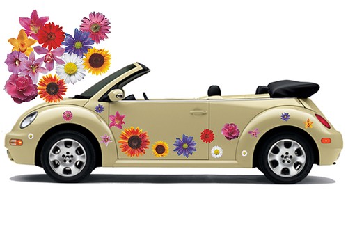 Auto aufkleber set hibiskus - auto,